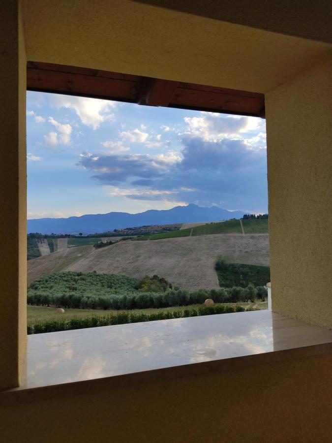 Agriturismo Terra Dei Falchi Castilenti Екстер'єр фото