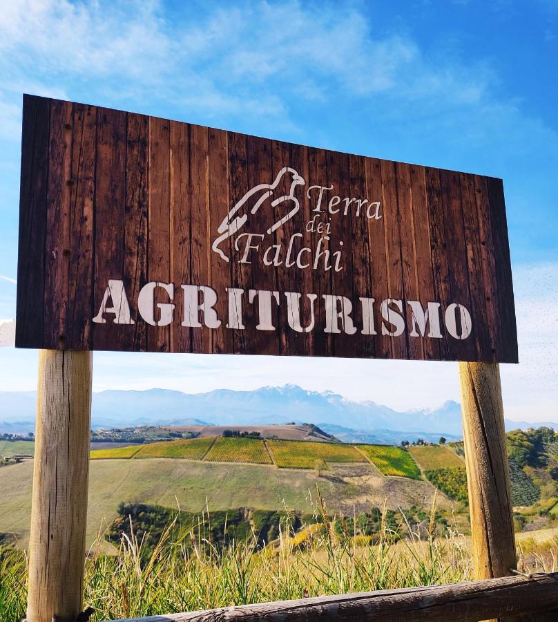 Agriturismo Terra Dei Falchi Castilenti Екстер'єр фото