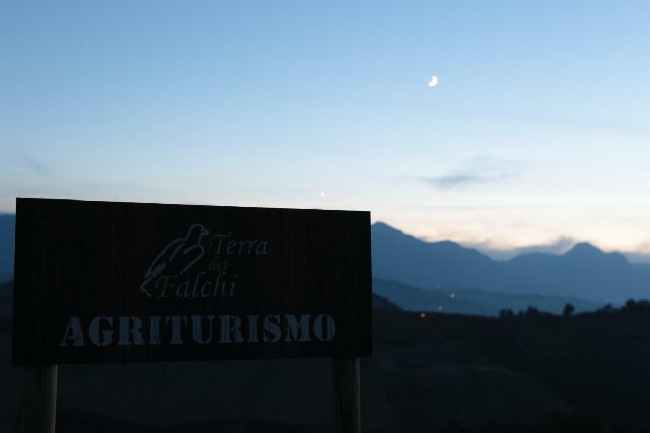 Agriturismo Terra Dei Falchi Castilenti Екстер'єр фото